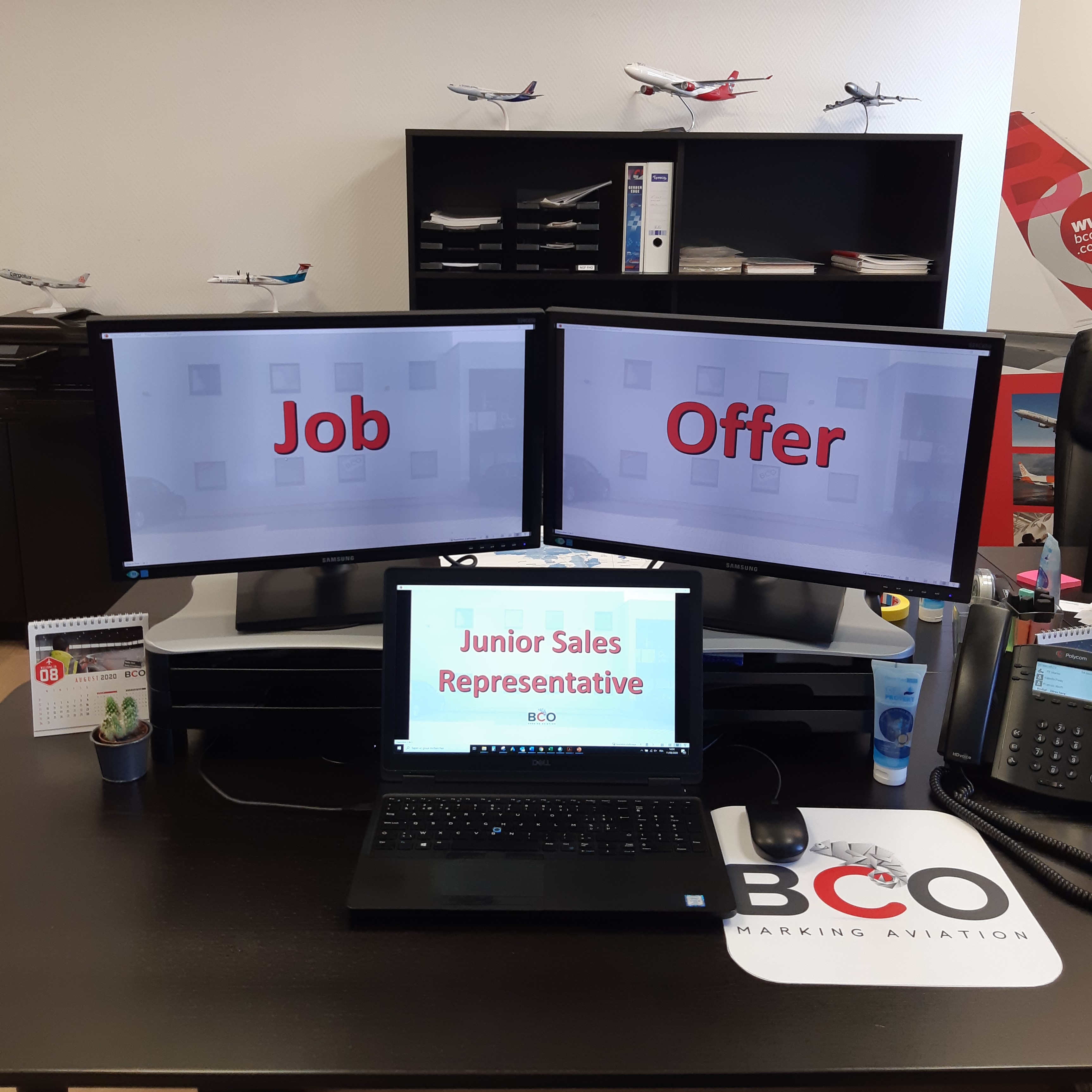 Illustration of: Job Offer: Junior Sales Representative within BCO Aviation (Closed)