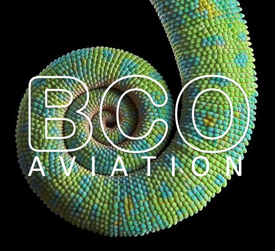 Illustration of: Why is the chameleon representing BCO Aviation?